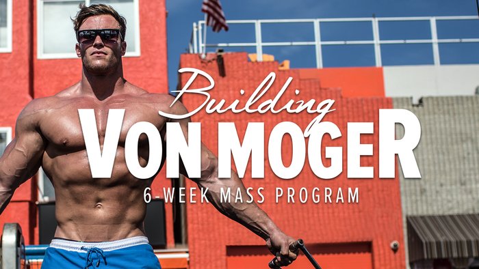 building-von-moger-logo-header-700xh