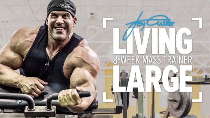 living-large-logo-header-700xh